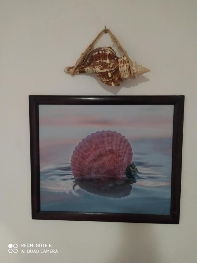 Casa Ohana-Disfruta del paraiso Isla Holbox Bagian luar foto