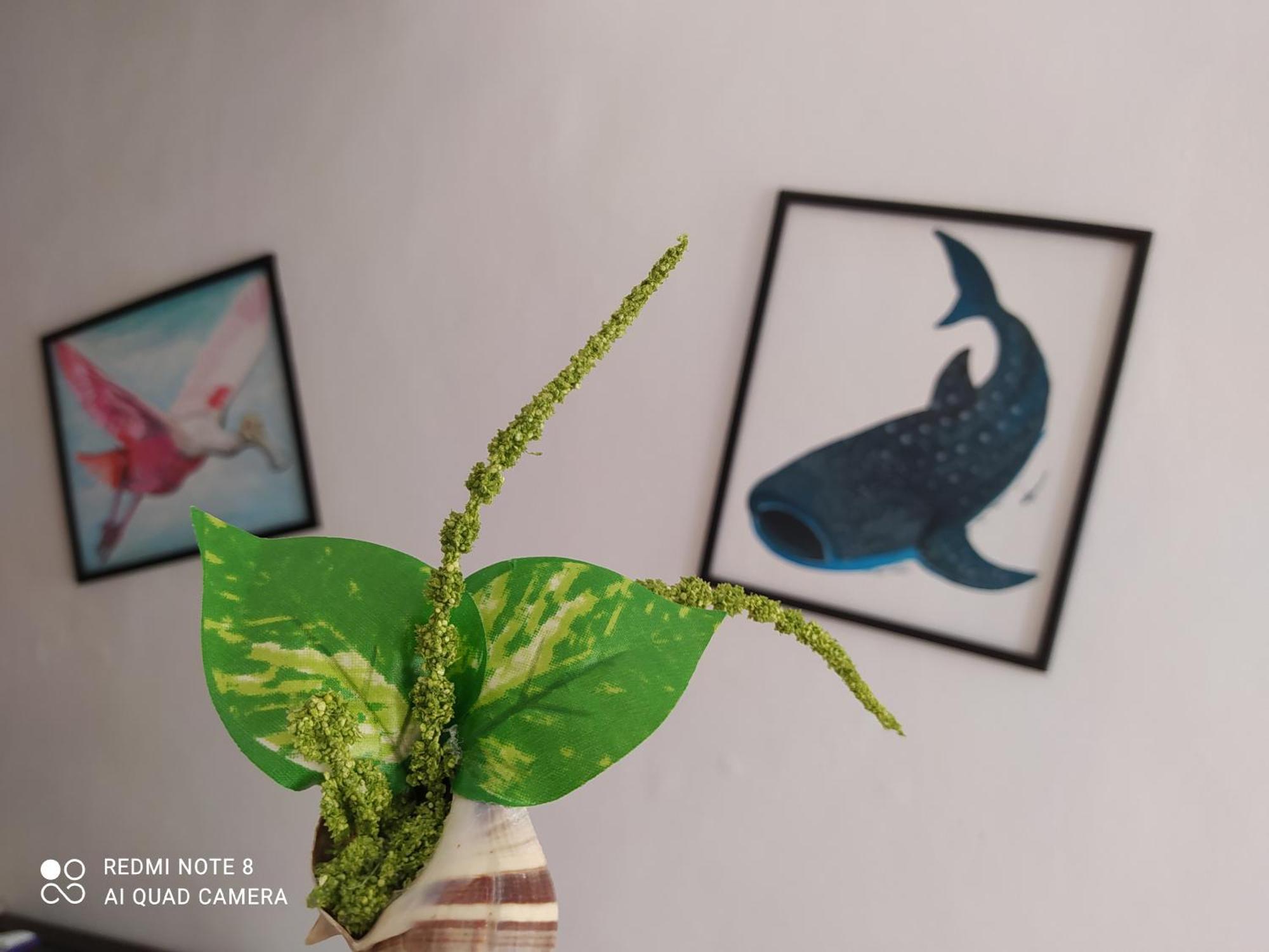 Casa Ohana-Disfruta del paraiso Isla Holbox Bagian luar foto
