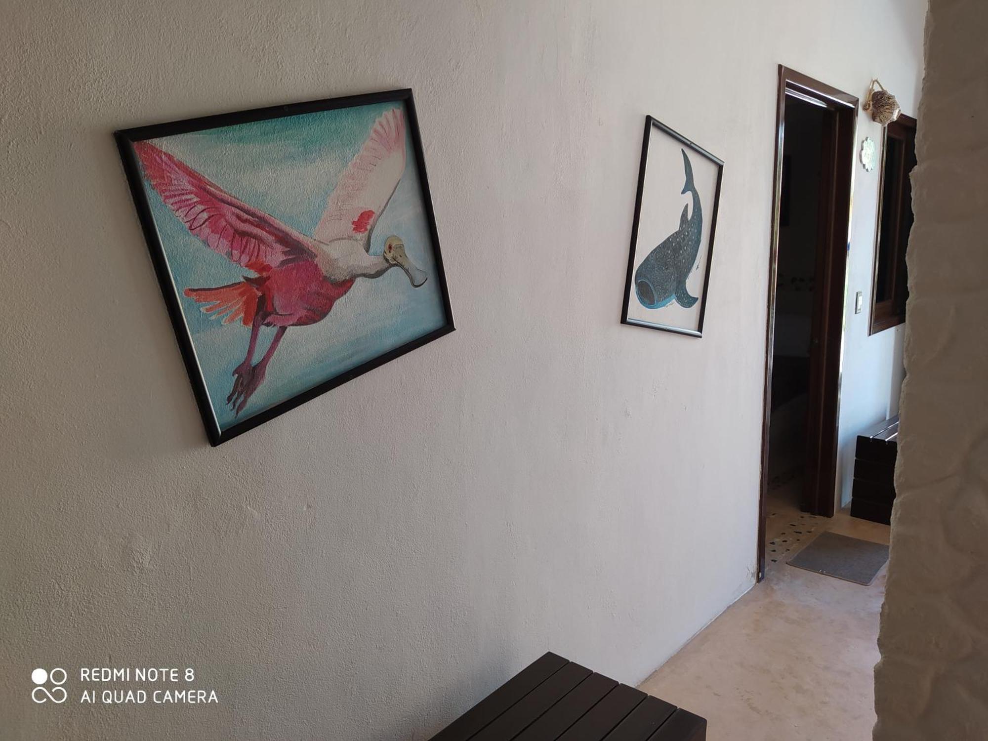 Casa Ohana-Disfruta del paraiso Isla Holbox Ruang foto
